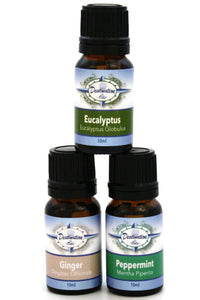 Stay Well Essential Oil Gift Set- Ginger, Peppermint, Eucalyptus-Gift Sets-Destination Oils