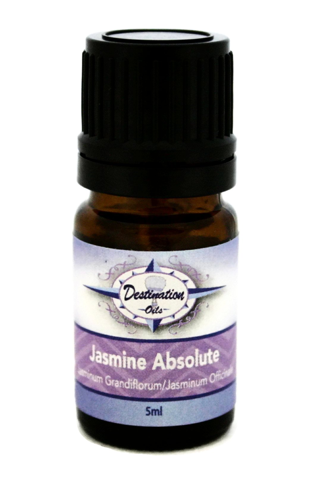 Jasmine Absolute Essential Oil ~ 5ml ~ 50/50-Single Essential Oils-Destination Oils