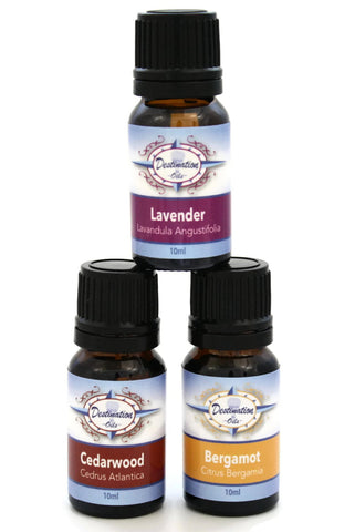 Relaxation Essential Oil Gift Set- Cedarwood, Lavender, Bergamot-Gift Sets-Destination Oils